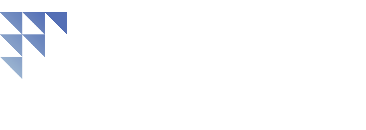 Frankel Technology Services